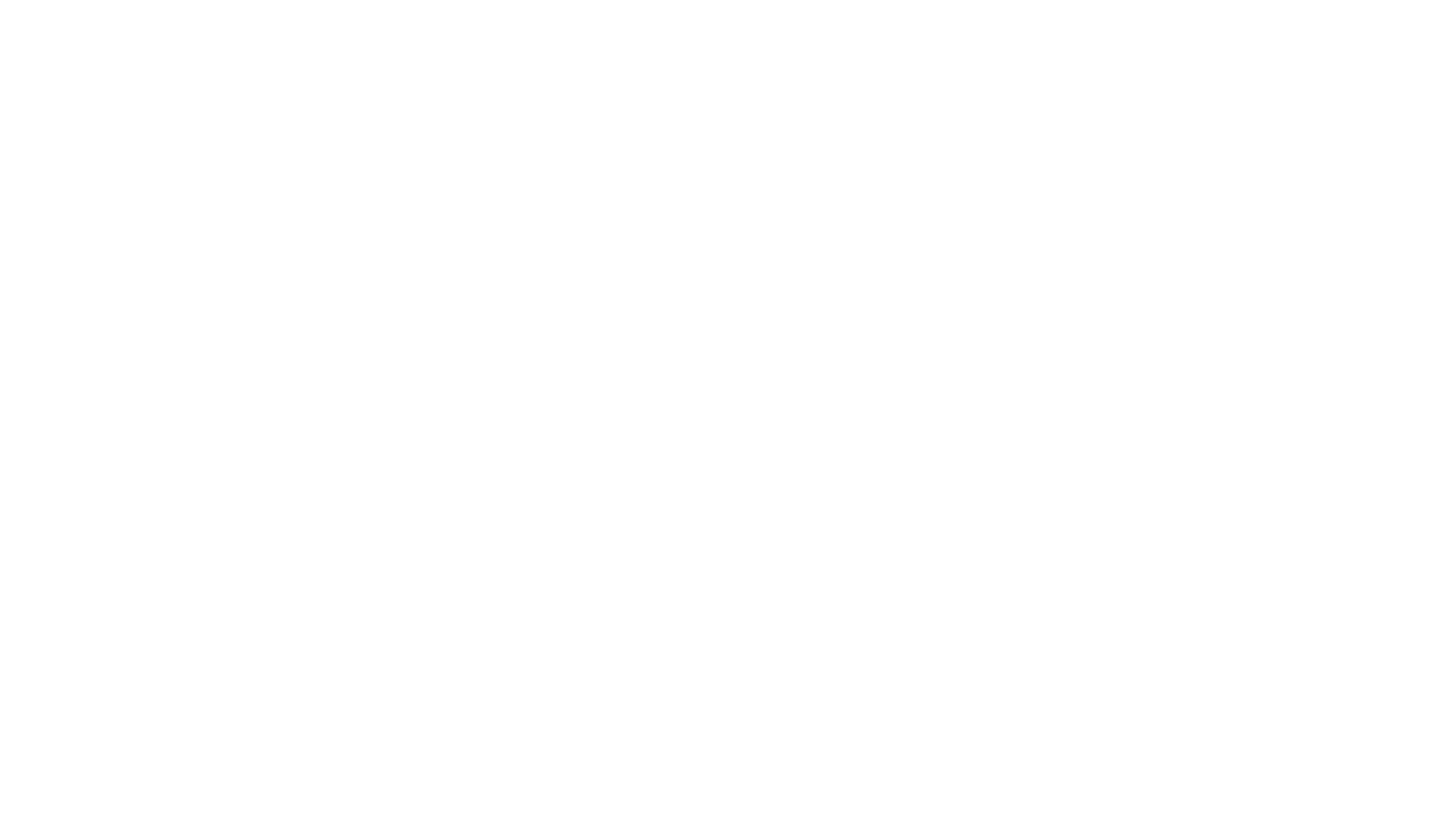 Leoni Magnus Logo
